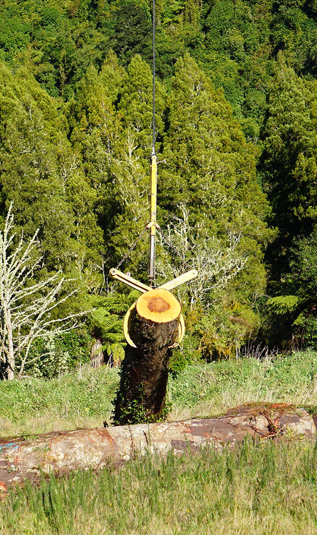 agriculture-14
